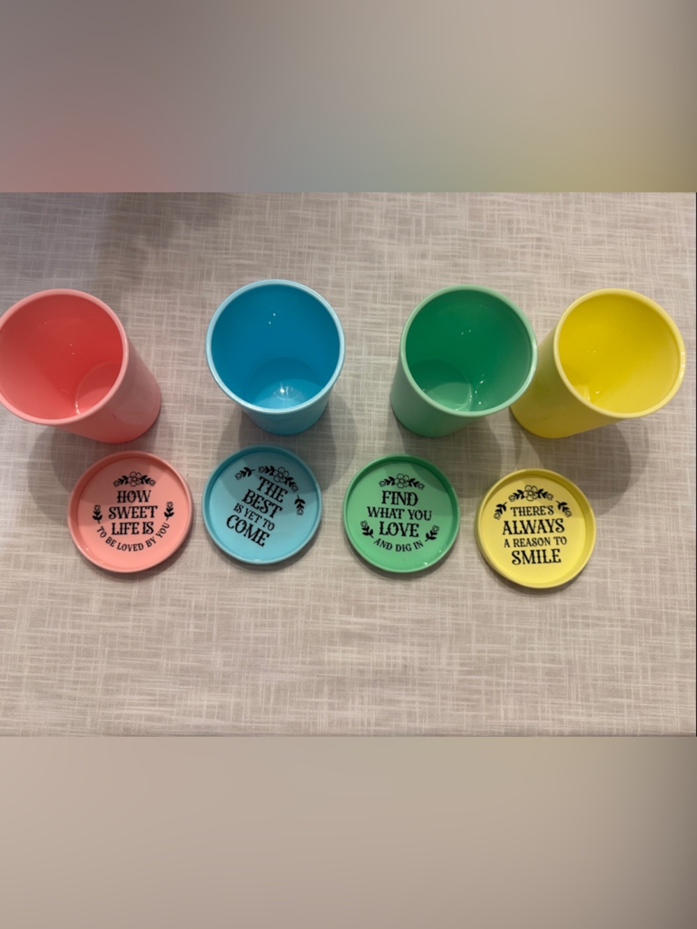 Reusable Pint Ice Cream containers